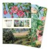 Kew Gardens: Marianne North Set of 3 Midi Notebooks (Diár)