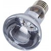 Repti Zoo Neodymium Daylight žiarovka 75 W