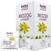 HERBEX Premium MOZOG A PAMÄŤ bylinná zmes, čaj 20x1,5 g (30 g)