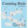Counting Birds - Alice Melvin