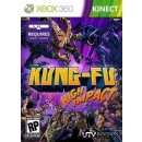 Hra na Xbox 360 Kung Fu High Impact