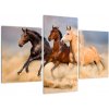 Moderný obraz koní (Obraz 90x60cm)