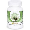 Naturalpharm Saw Palmetto tablety 100 ks
