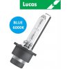 Xenónová výbojka LUCAS D2S Blue 6000K