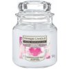Yankee Candle Bubble Time 104 g