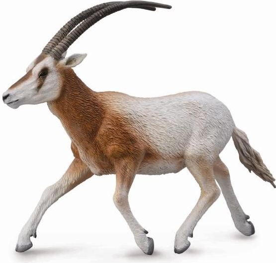 COLLECTA Koza Springbok