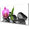 Nástenný panel Kvet kamene umenie 100x50 cm