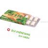 Artic Žuvačky Premium Spearmint 10 ks