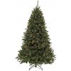 Bristlecone Vianočný stromček umelý s LED svetielkami, 185 cm, 389726-01