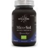 Hifas da Terra Mico-Sol, šampiňón brazílsky, BIO, 70 kapsúl Výživový doplnok