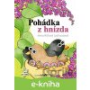E-kniha Pohádka z hnízda - Irena Ričlová Lachoutová