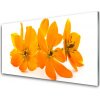 Obraz na akrylátovom skle Oranžové kvety 100x50 cm