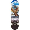 Tony Hawk 180 Series 7.75