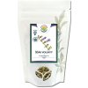 Salvia Paradise Šišák vousatý nať 1 kg