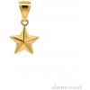 Zlatnictvo.sk Zlatý prívesok hviezda PRI251107