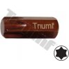 TRIUMF Bit Torx nevŕtaný, 10 mm driek, dĺžka 30 mm T55