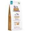 Brit Care Grain-free Senior & Light Salmon & Potato 12 kg