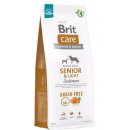 Brit Care Grain-free Senior & Light Salmon & Potato 12 kg