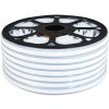 LedStar 1M-NEON-230V-6000/50M