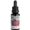 Nobilis Tilia Olej z hroznových jadier 20 ml