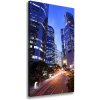 Vertikálny foto obraz na plátne Mrakodrapy 50x100 cm