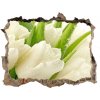 Samolepící díra na stěnu Biele tulipány 95x64 cm
