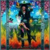 Vai Steve - Passion And Warfare / Vinyl [LP]