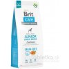 Brit Care Grain-free Junior Large Breed Salmon 12 kg