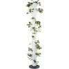 Gusta Garden GG-100529