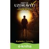 E-kniha Ako sa uzdraviť? - Radoslav Zárecký