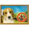 Ceduľka 3D Pozor pes Beagle