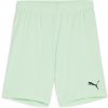 Puma | teamGOAL Shorts Jr | zelená| 128