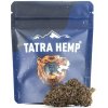 TATRA HEMP TATRAHEMP - Lemon Purple NANO11 - 1G