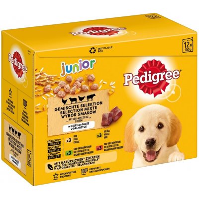 Pedigree Junior Multipack kapsičky v želé 48 x 100 g