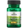 Probiotické kapsuly Swanson Health Products L. Plantarum 30 ks
