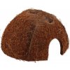 REPTI PLANET Ukrýt Coco Shell M