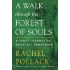 Walk Through the Forest of Souls (Rachel Pollack)(Brožovaná)