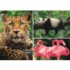 TREFL Puzzle Zvieratá - koláž 1000 dielikov EKO
