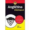 Angličtina pro (ne)chápavé - Gail Brenner