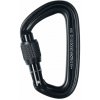 Karabína Black Diamond LiteForge Screwgate - black