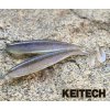 KEITECH Easy Shiner 3