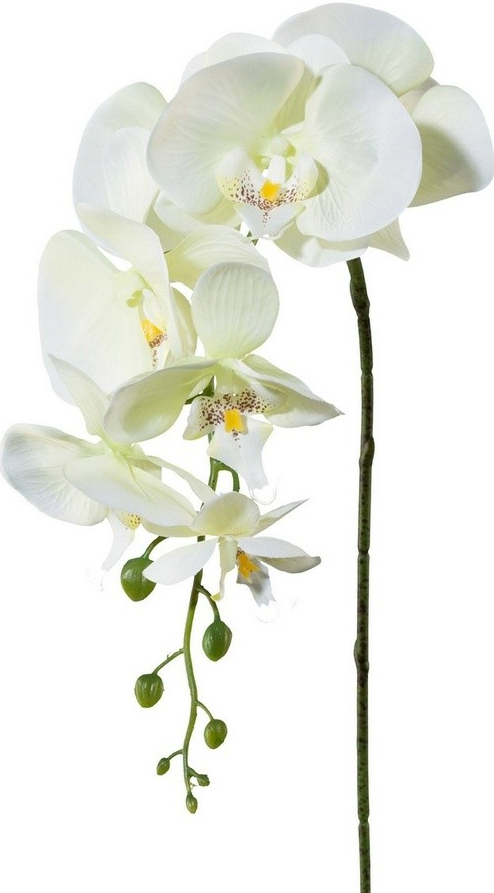 Umelá Orchidea biela, 86 cm 305303-50