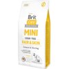 BRIT Care Mini Grain Free Hair & Skin 7kg