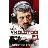 Rok v kolotoči F1