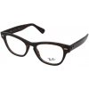 Dioptrické okuliare Ray-Ban Laramie RX2201V 2012 Veľkosť: 51