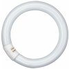 Osram Kruhová žiarivka Lumilux T9, G10Q, 32 W, 2100 lm, 4000 K, opálová