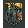 Zuty – Tím Batman, 40×50 cm, vypnuté plátno na rám 8596530136453