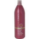 Inebrya Color Perfect Shampoo pre zdokonalenie farby 1000 ml