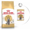 ROYAL CANIN FBN Cat British Shorthair 10kg + Cat British Shorthair Gravy 12x85g