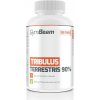 GymBeam Tribulus Terrestris Hmotnost: 240 tablet